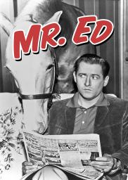 Random Movie Pick - Mister Ed 1958 Poster